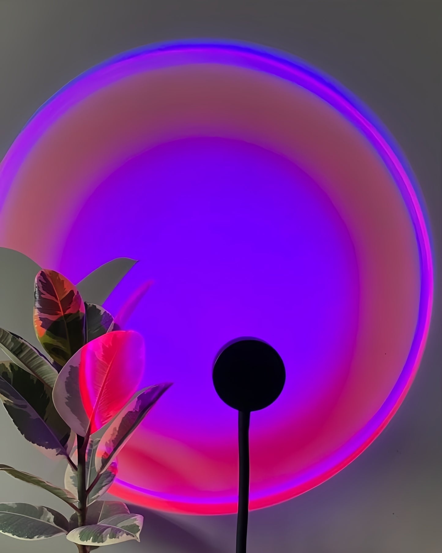 SereniQ Sunset Lamp